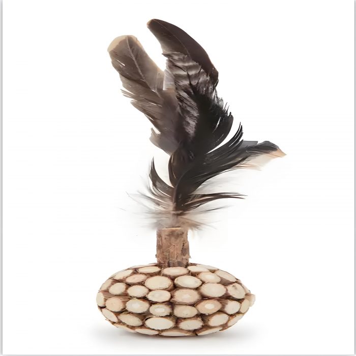 Pet Catcher Teaser Stick Replaceable Feathers Playing Wand Pet Teeth Molar Biting Toys - Image 2