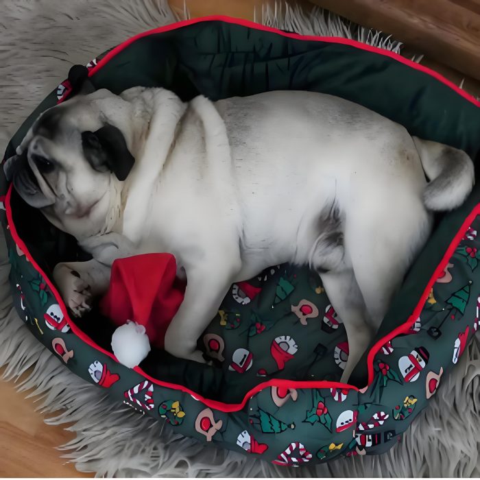 Christmas Dog Bed Dog Cat Cave Bed, Christmas Gift For Pets - Image 2