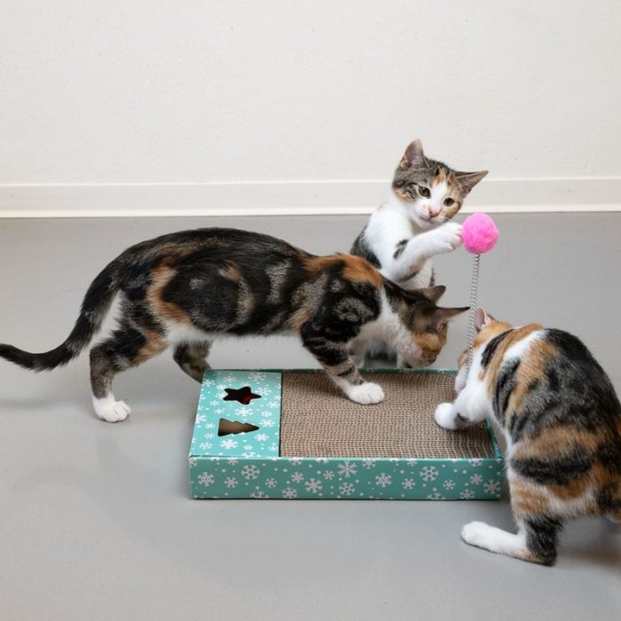 Cat Enrichment Toys,Scratching Pad - Image 2